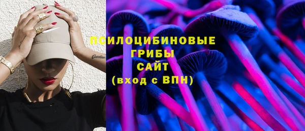 эйфоретик Надым