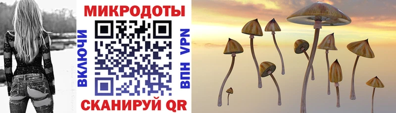 магазин продажи наркотиков  Палласовка  Галлюциногенные грибы Cubensis 